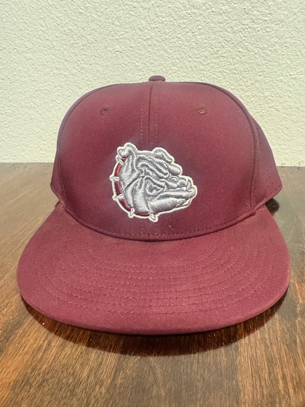 Dawgs Cap (The Game SnapBack)